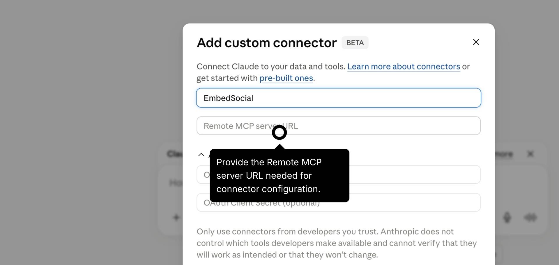 Entering connector name and server URL.