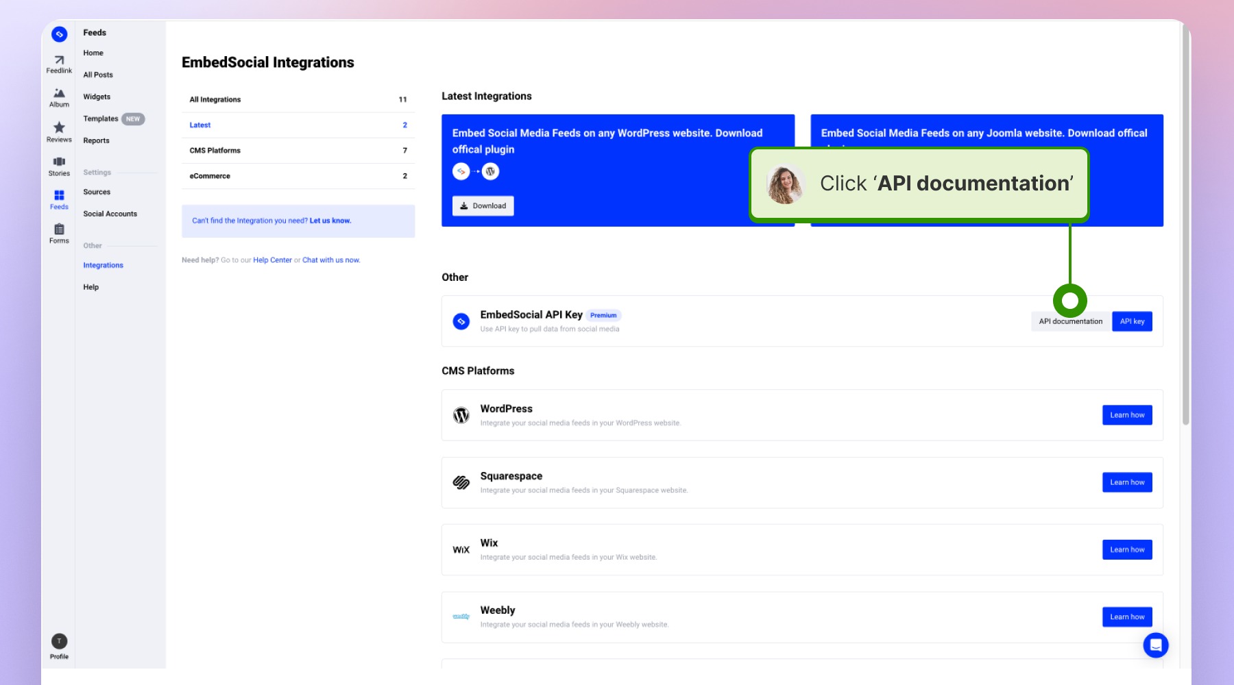Clicking on API documentation