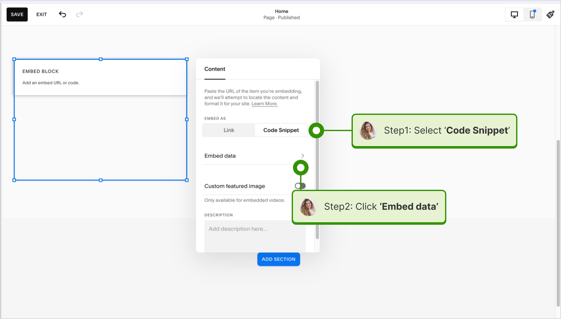 clicking on code snippet, paste it and click embed data