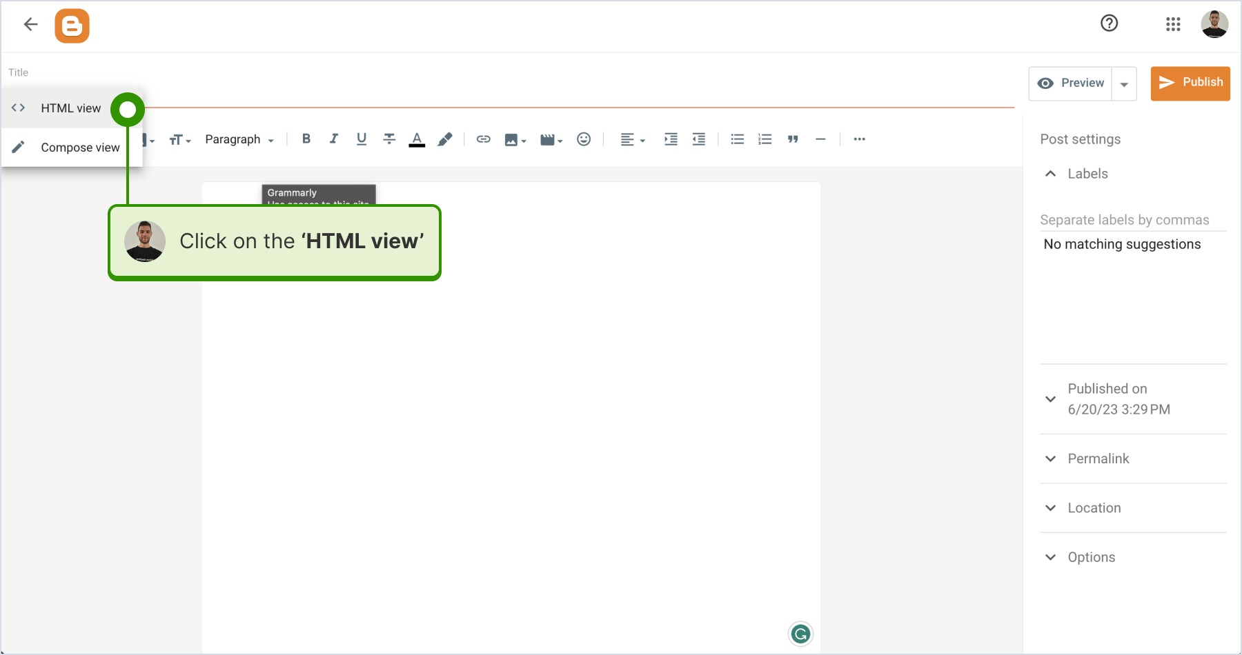 Choosing HTML view