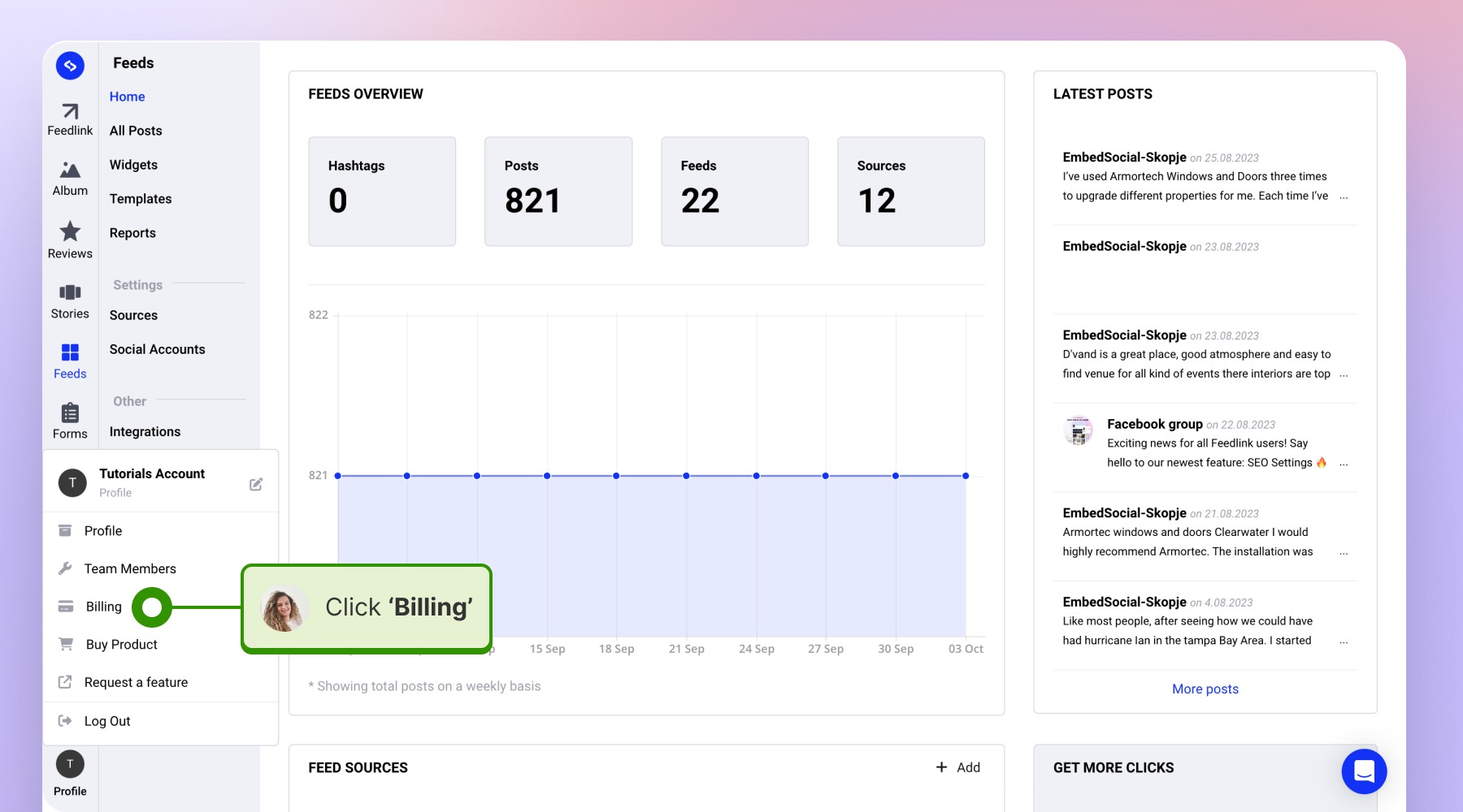 Navigating to the Billing Section isnide my EmbedSocial account
