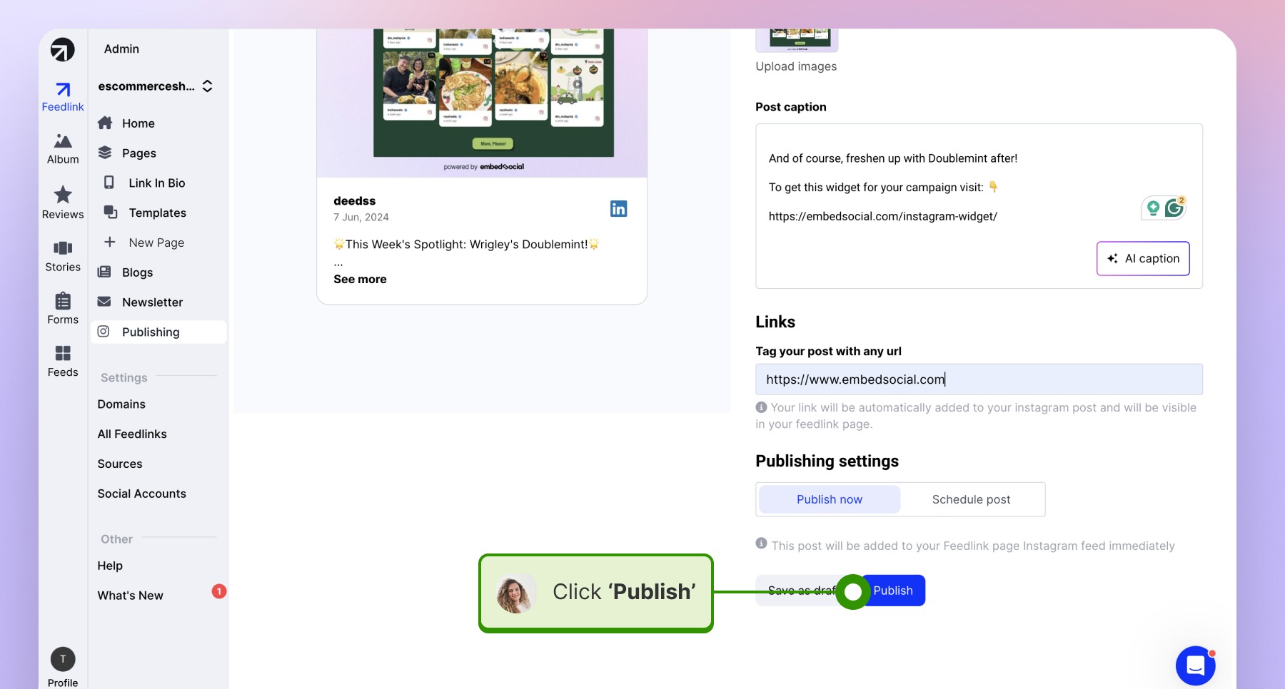 Publishing the post on LinkedIn